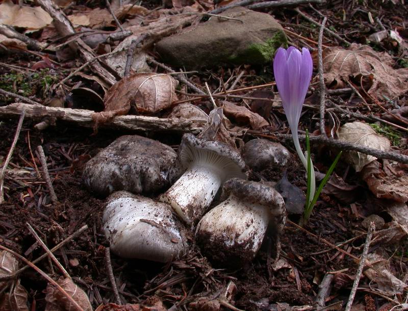 Prima escursione in montagna